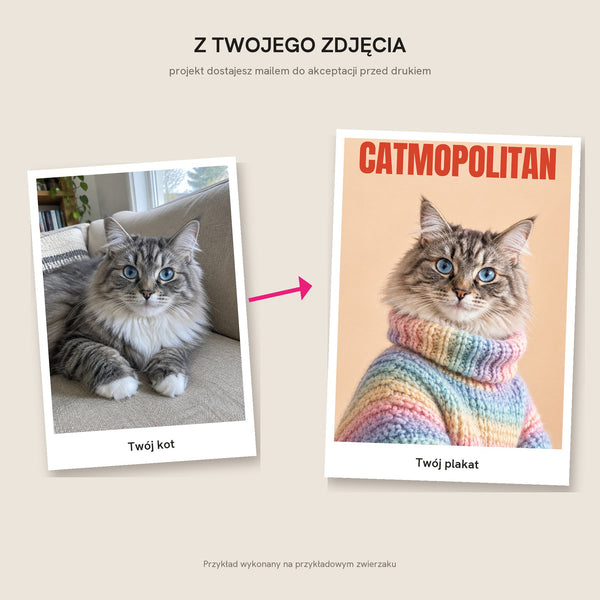 CATMOPOLITAN – Twój kot na okładce magazynu mody – zdjęcie 6