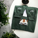 Avatar Appa Face - YIP YIP - Koval Customs. Polska produkcja, wysoka jakosc, personalizowane