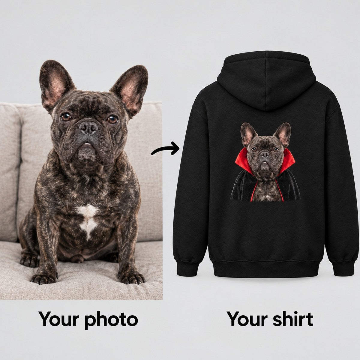 Your photo of a French bulldog turned into a vampire costume portrait printed on a black hoodie