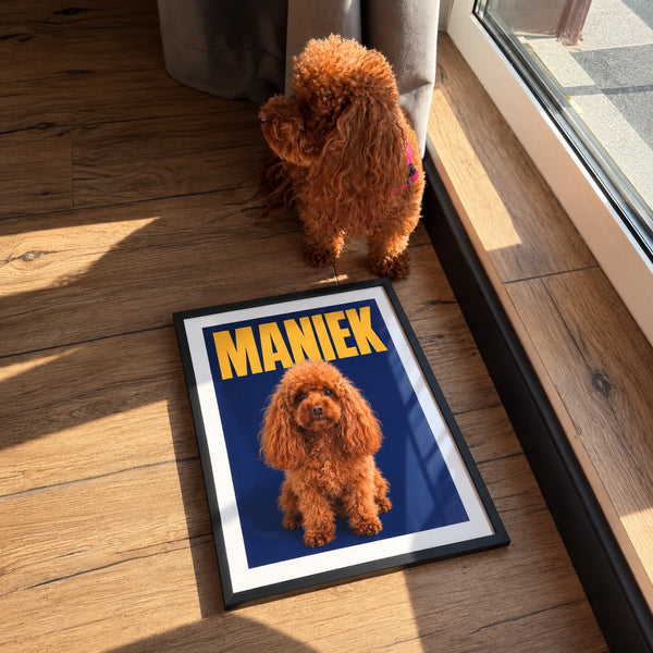 Dog poster on a MANIEK name background with the poodle beside it in the sun