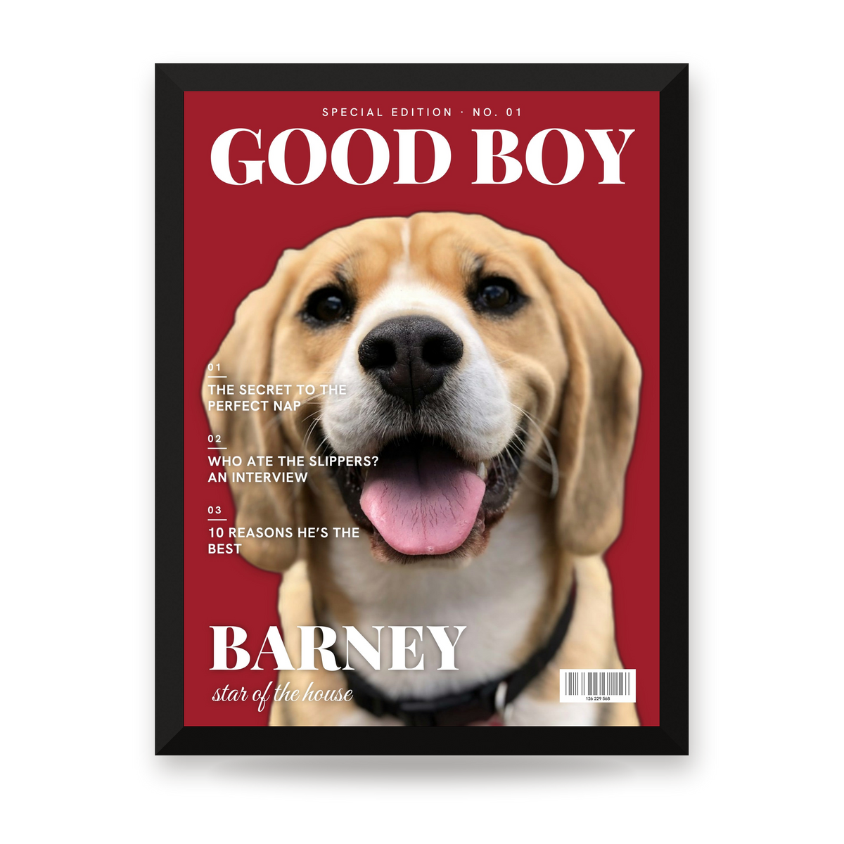 [US] Your Pet on a Magazine Cover - framed poster